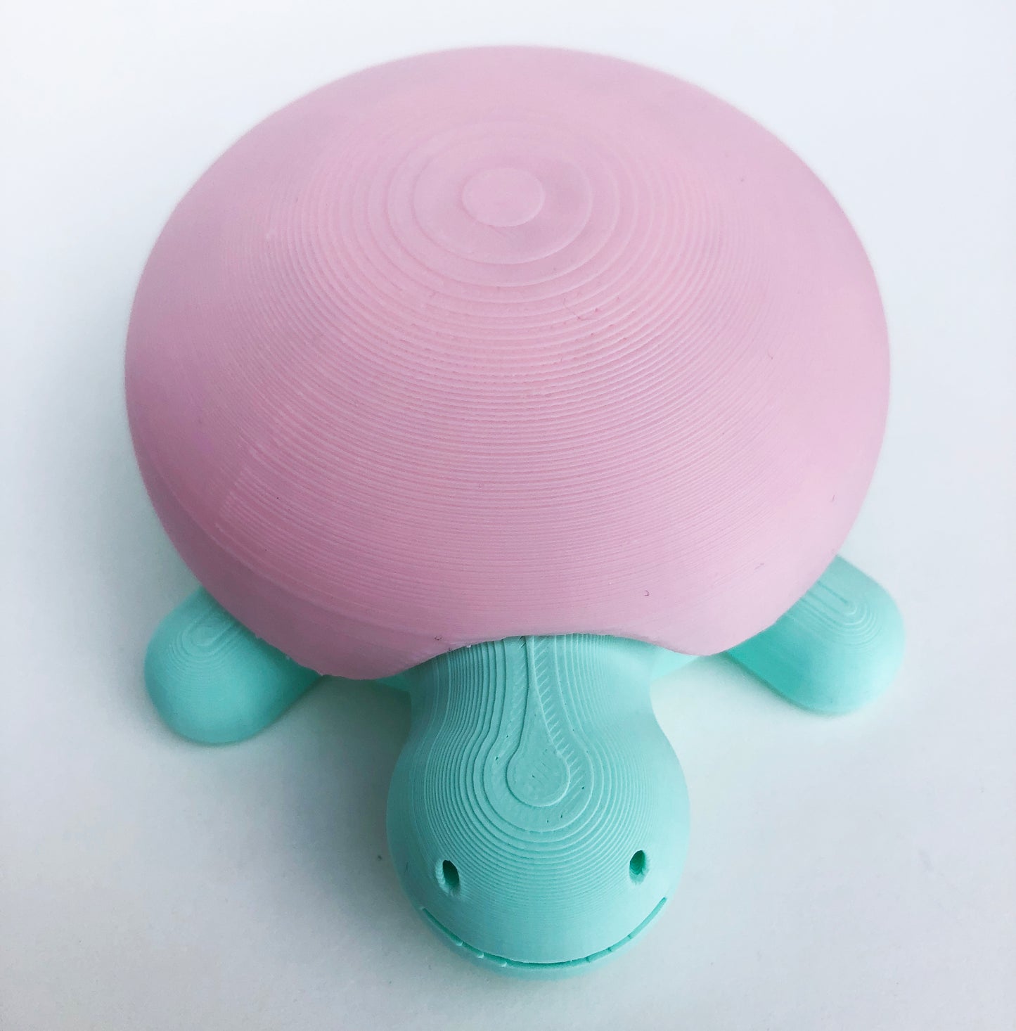 Carey Desktop Sandbox Turtle in Pastel with Sand Slime